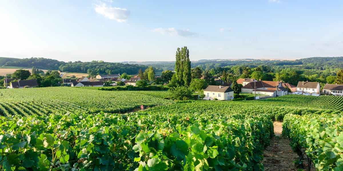 Reims Header