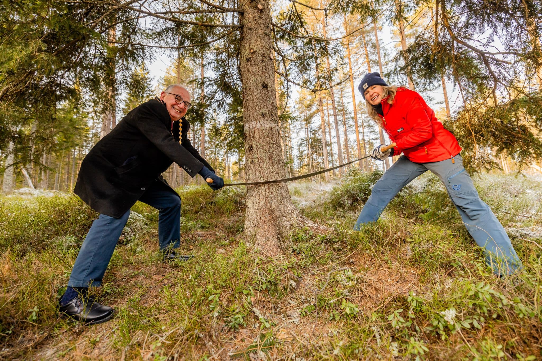 The "Ever Oslo"tree.