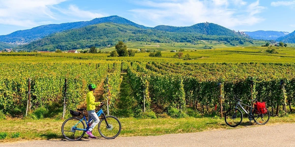 Cycle in France