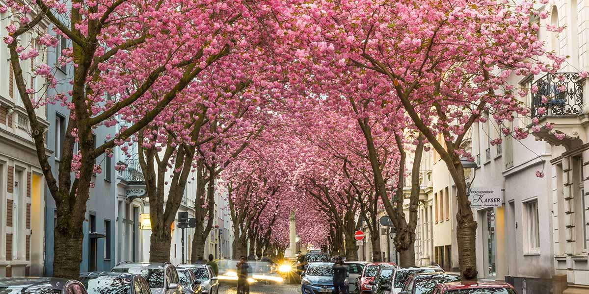 Bonn (Germany)