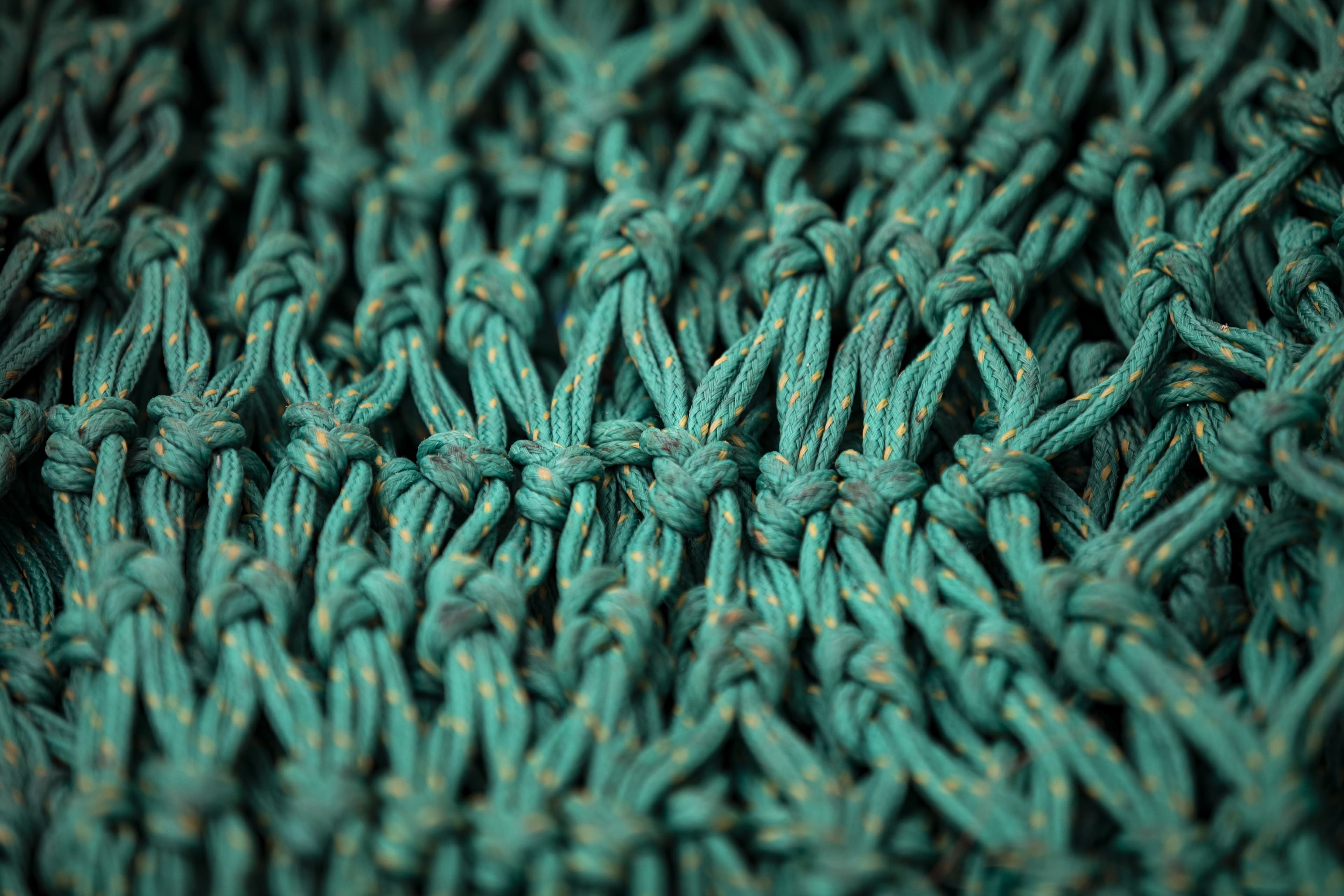 DFDS, Green rope ties for understanding decarbonisation